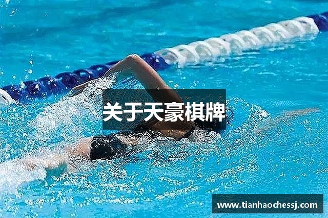 关于天豪棋牌